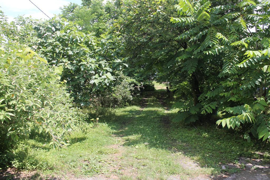 Smak Hotel Kobuleti Bagian luar foto